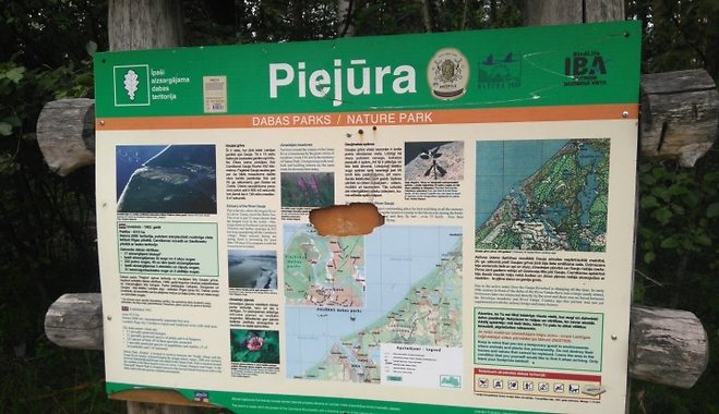 Aicinām uz svešzemju sugas Tatārijas salāta ierobežošanas talku dabas parkā “Piejūra”